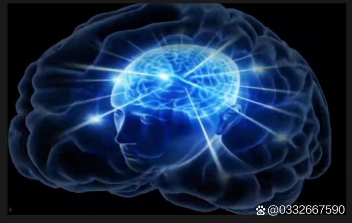 黑料718 - 热搜第一！某男团成员在直播中意外曝光恋情